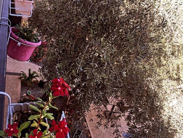 Bella Casetta Guest House Famagusta  Exterior foto